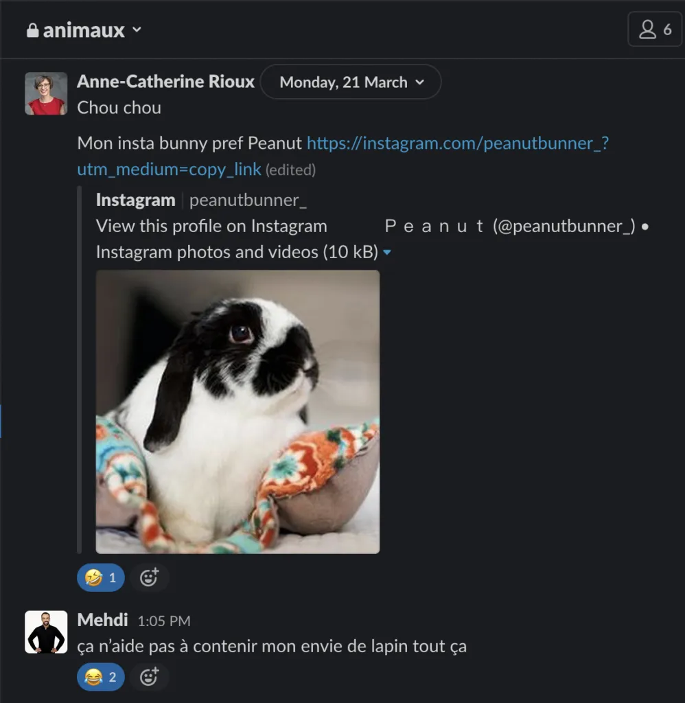 Capture d’écran de l’application Slack