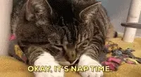 sleepy-nap-time