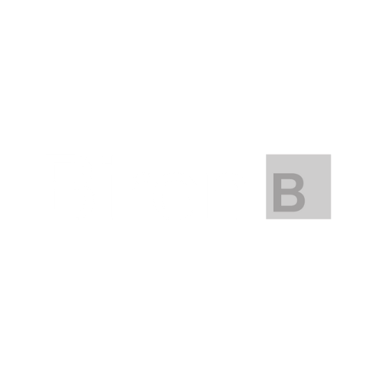 logo-Biron
